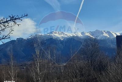 Spațiu comercial, în Predeluț - 18