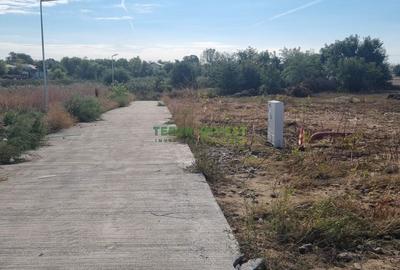 Proprietar ofer spre vanzare loturi teren - DN 4 Popesti-Frumusani - 10