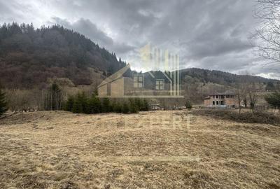 TEREN INTRAVILAN 500 MP SATIC- RUCAR - 10