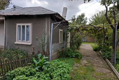 Casa Tudor Vladimirescu Galati - 9