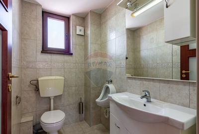 De vanzare cladire multifunc?ionala Calea Ferentari - 17