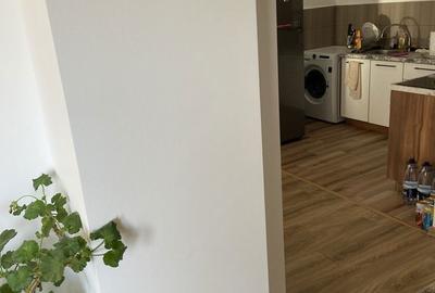 Casă cu 3 camere în Gura Câlnăului - 5