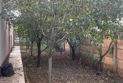 Prelungirea Ghencea Margelelor Ap si curte Proprie - 2