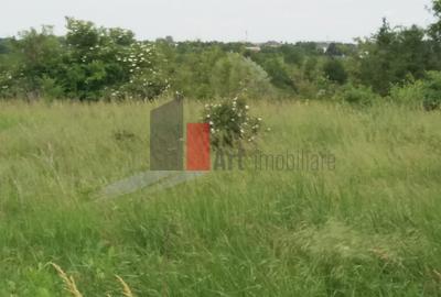 Buftea, teren cu iesire la lac - 14