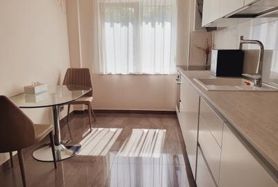 Lux, Tehnologie și Locație Centrală - Bld. Take Ionescu, langa pnctele Cardinale - 2