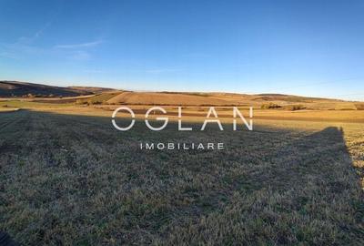 Teren intravilan cu PUZ pentru investitie - 26.100 mp - Sura Mare - 2