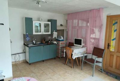 Casă cu 2 camere cu Teren 1000 Mp în Poienarii Burchii - 3