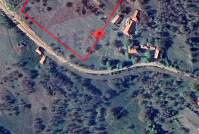 Teren intravilan de 23600 mp, în Inuri - 8