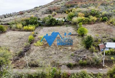 Teren de 3044 mp, în Niculițel - 2