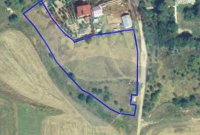 Teren Construcții intravilan de 6870 mp, în Glina - 1