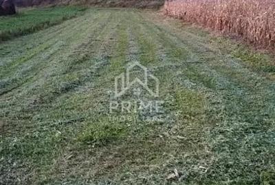 Teren de 708 mp, în Tău - 2