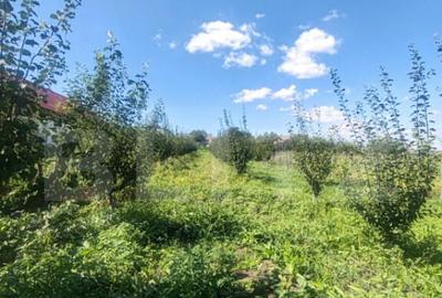 Casu?a tip foi?or, 30 mp, pe un teren de 3.000 mp, veder - 1