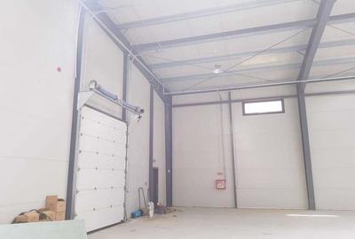 Spațiu comercial, de 1,000 mp, în Mogoșoaia - 2