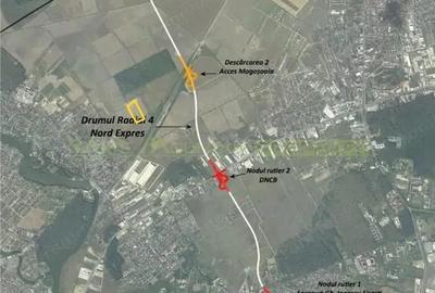 Teren de 26715 mp, în Mogoșoaia - 2