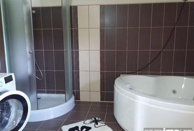 Apartament cu 2 camere în Giurgiului - 3