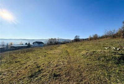 Teren intravilan - 1000mp - Pausesti Maglas | VALCEA - 9