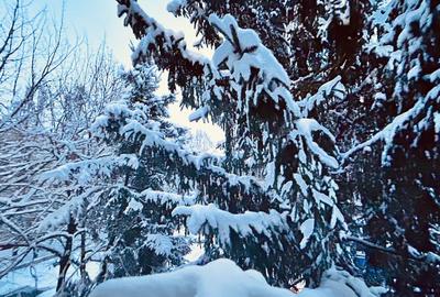 Otopeni constructie 2008, Duplex + Garaj - 1