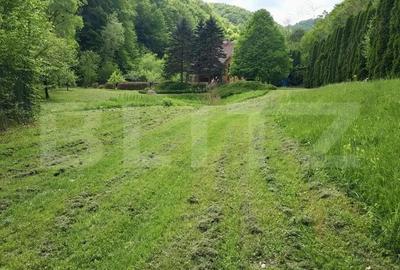 Casa de Vacan?a pe Valea Ighielului 3 camere, 2500 mp curte - 9