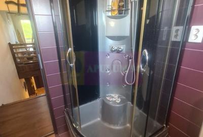 Vila de vanzare in Brebu - Zona Brebu Manastirei - 29