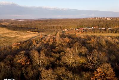 Teren de 4333 mp, în Paleu