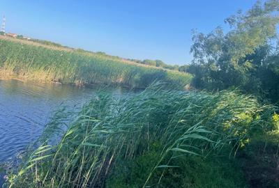 Teren intravilan 4.200 mp Murighiol - 10