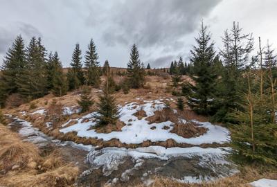 7858 mp TEREN SUPERB CU PARAU SI IZVOARE, BELIS - FANTANELE, Cluj - Transilvania - 7