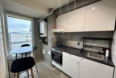 Apartament cu 1 camera de inchiriat, langa Iulius Mall - 2