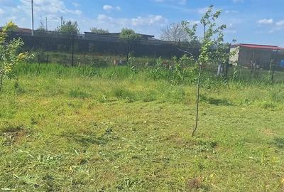 Teren de 1300 mp, în Plătărești - 10