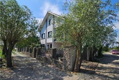 Vila superba, cu piscina, 970mp teren, D+P+E+M, gradina amenajata+pomi fructifer - 8