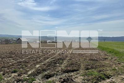Teren de 3900 mp, în Pătrăuți - 3