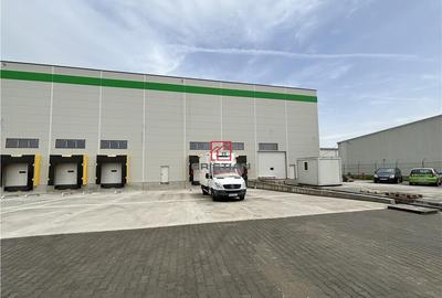 Depozit/hala/spatiu industrial Stefanesti - Centura - A3 Depozit/hala/spatiu industrial Stefanesti - Centura - A3 - 6