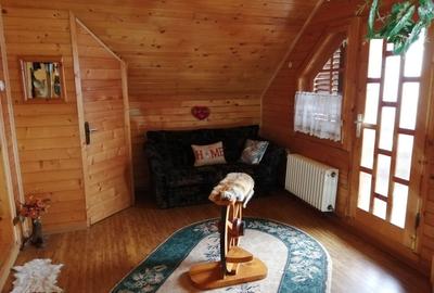 Casă cu 1 camere cu Teren 300 Mp în Ocna Șugatag - 10