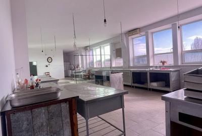 Spațiu comercial, de 1,217 mp, în Central - 12