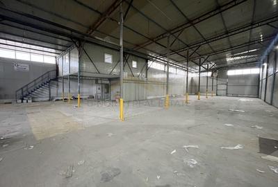 Hale de Inchiriat - 4