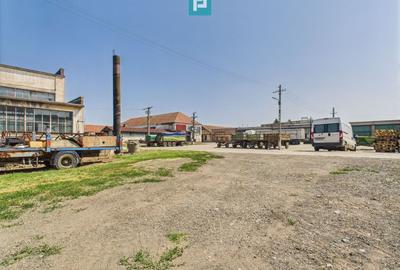 Spațiu industrial, de 6,179 mp, în Orțișoara - 32