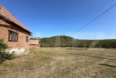 Teren intravilan de vanzare 14000mp,ideal pentru investitie, - 3