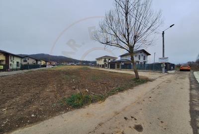 Teren 500-800 mp Braileni-Valea Ursului parcelabil