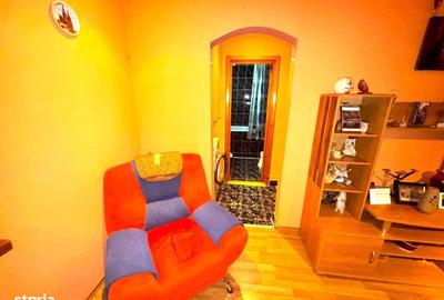 Apartament cu 2 camere semidecomandat, mobilat în Vest - 3