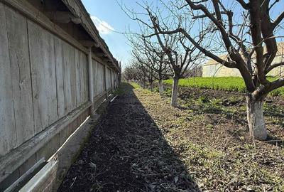 Spațiu comercial, în Belcești - 4