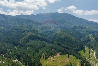 Spațiu comercial, în Timișu de Jos - 10
