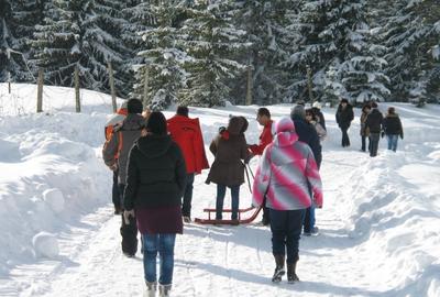 Teren Construcții intravilan de 2100 mp, în Caragiale - 3