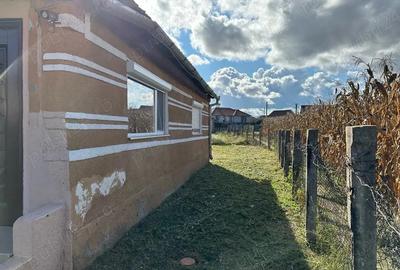 Casă cu Teren 488 Mp în Central - 4