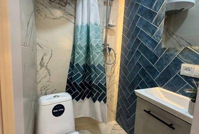 Garsoniera de inchirat in zona Herastrau - 2