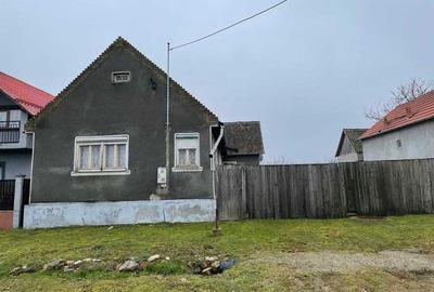 Casă cu 4 camere în Dud - 1