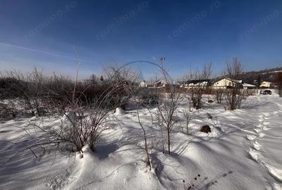 Teren Intravilan Unirea 1700 mp - 4