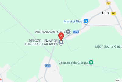 Teren Construcții intravilan de 5000 mp, în Ulmi - 1