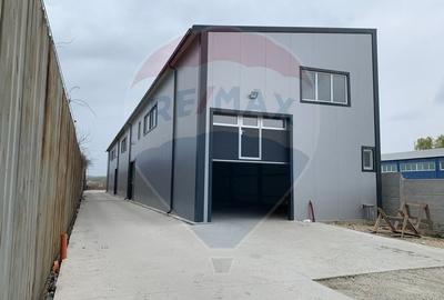 Spatiu industrial de 460mp de inchiriat in zona Romanesti - 2