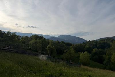 Teren Construcții intravilan de 2000 mp, în Peștera - 19