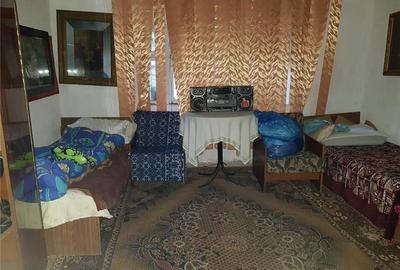 Casă cu 2 camere în Fârliug - 7