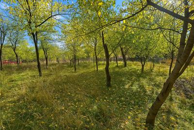 Casă tradițională într-un peisaj de vis – Vâlcănești - 28